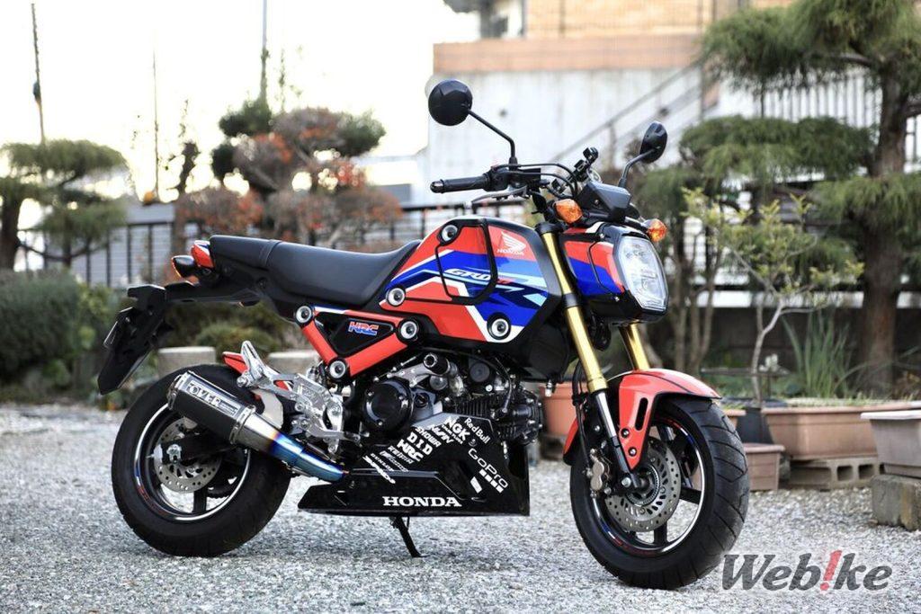 HONDA GROM Custom