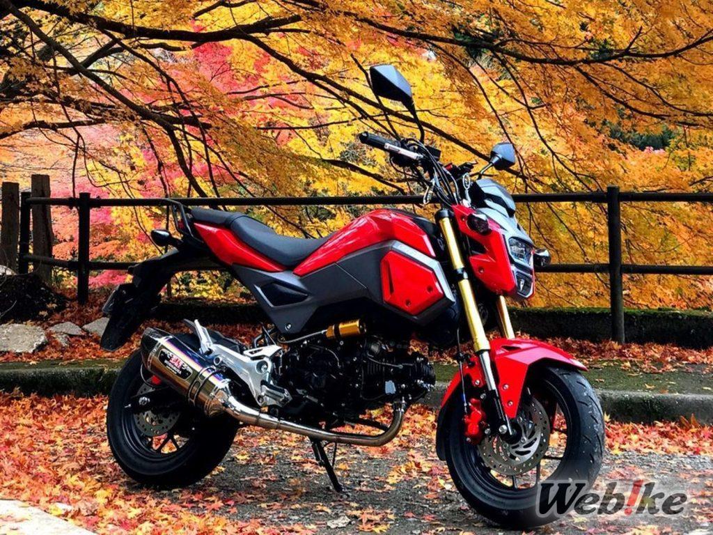 Vergaserumbau für mehr Leistung: HONDA Grom(MSX125) Benutzerdefiniert