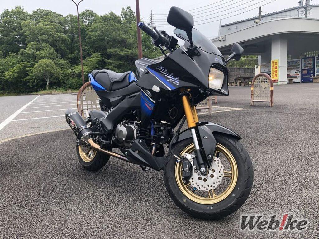 Mini Ninja Stil: KAWASAKI Z125 PRO Benutzerdefiniert